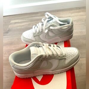 Brand new Nike low top dunks